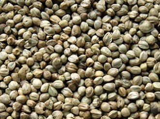 KONOPIA PASZOWA  -1KG