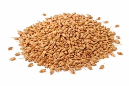 JĘCZMIEŃ ZIARNO 25kg  