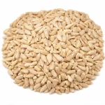 SŁONECZNIK ŁUSKANY -1kg 