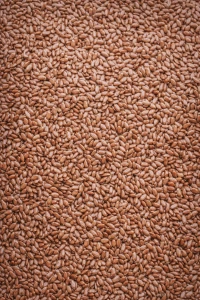 SIEMIĘ LNIANE -LEN  1kg