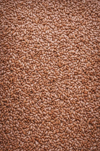 SIEMIĘ LNIANE -LEN  5 KG