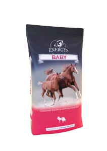 ENERGYS BABY-25KG