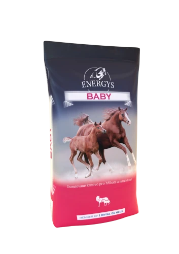 ENERGYS BABY-25KG