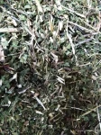 JEŻÓWKA / ECHINACEA ZIELE-5kg 