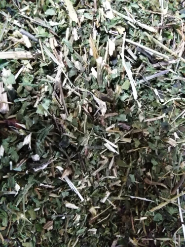 JEŻÓWKA / ECHINACEA ZIELE-5kg 