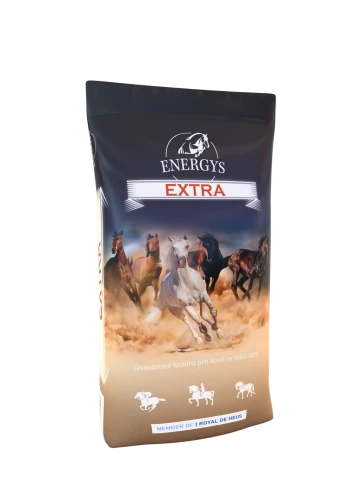 ENERGYS EXTRA -25KG