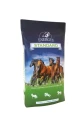 ENERGYS STANDARD -25KG