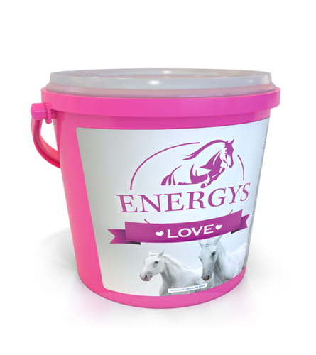 ENERGYS LOVE smakołyki dla koni-2kg 