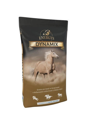 ENERGYS DYNAMIX konie sportowe -20kg 