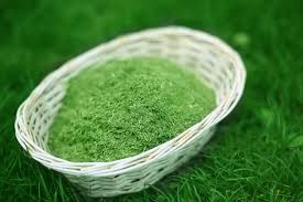 LUCERNA-SUSZ MĄCZKA WYSOKOBIAŁKOWA 25KG 